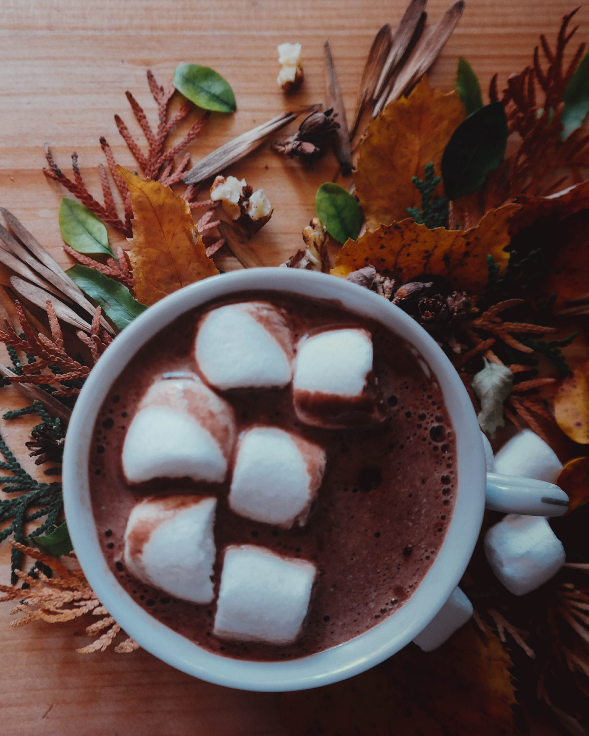 Hot Chocolate For A Cold Day