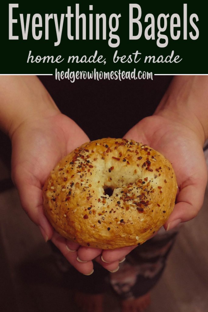 delicious, homemade everything bagel recipe