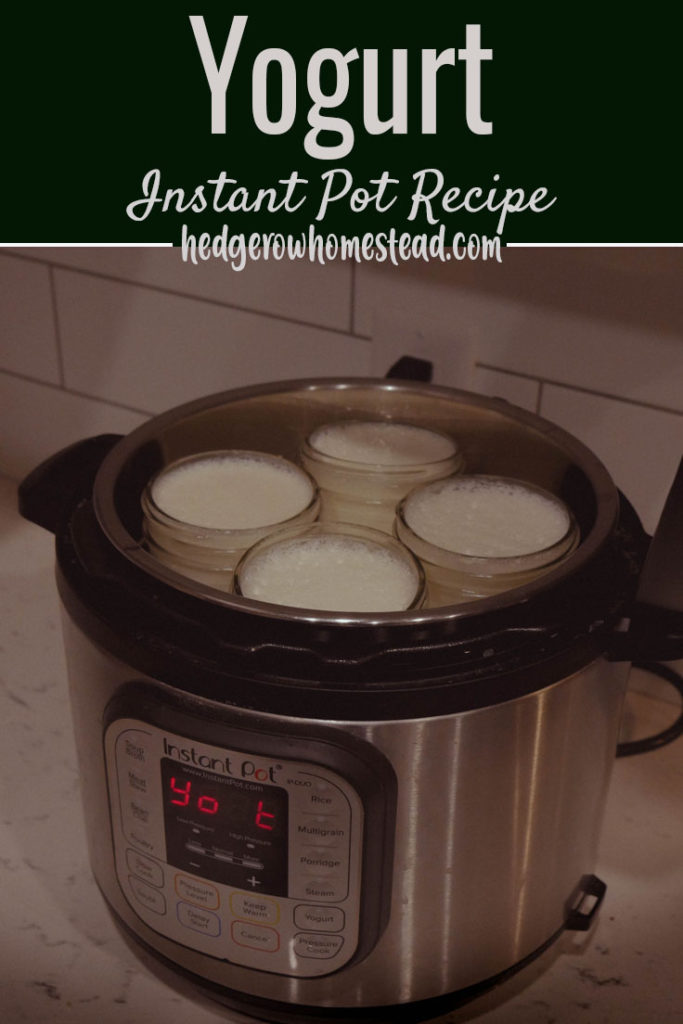 How to Make Yogurt in an Instant Pot - Homestead How-To
