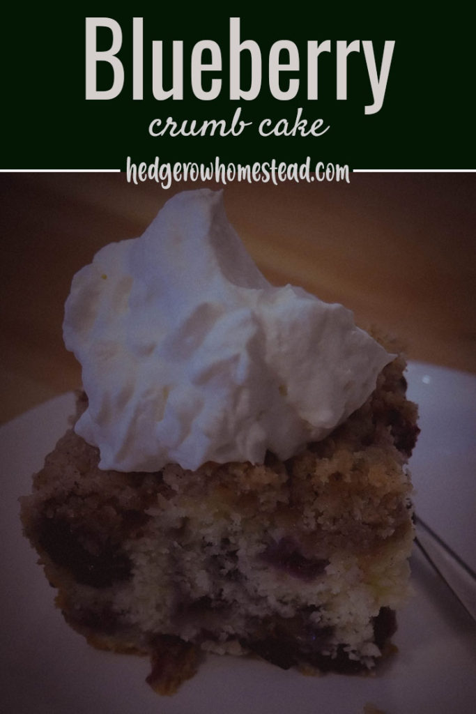 Slice of blueberry crumb cake with a dollop of whipped cream.