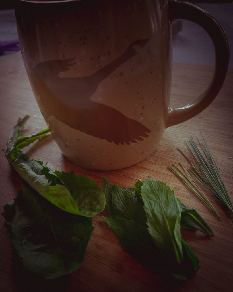 Foraging for herbs to create nature tea is a wonderful way to experience nature and move in dynamic ways.  We have been trying to add more movement and nature into our lives and nature tea is a great way to do so!