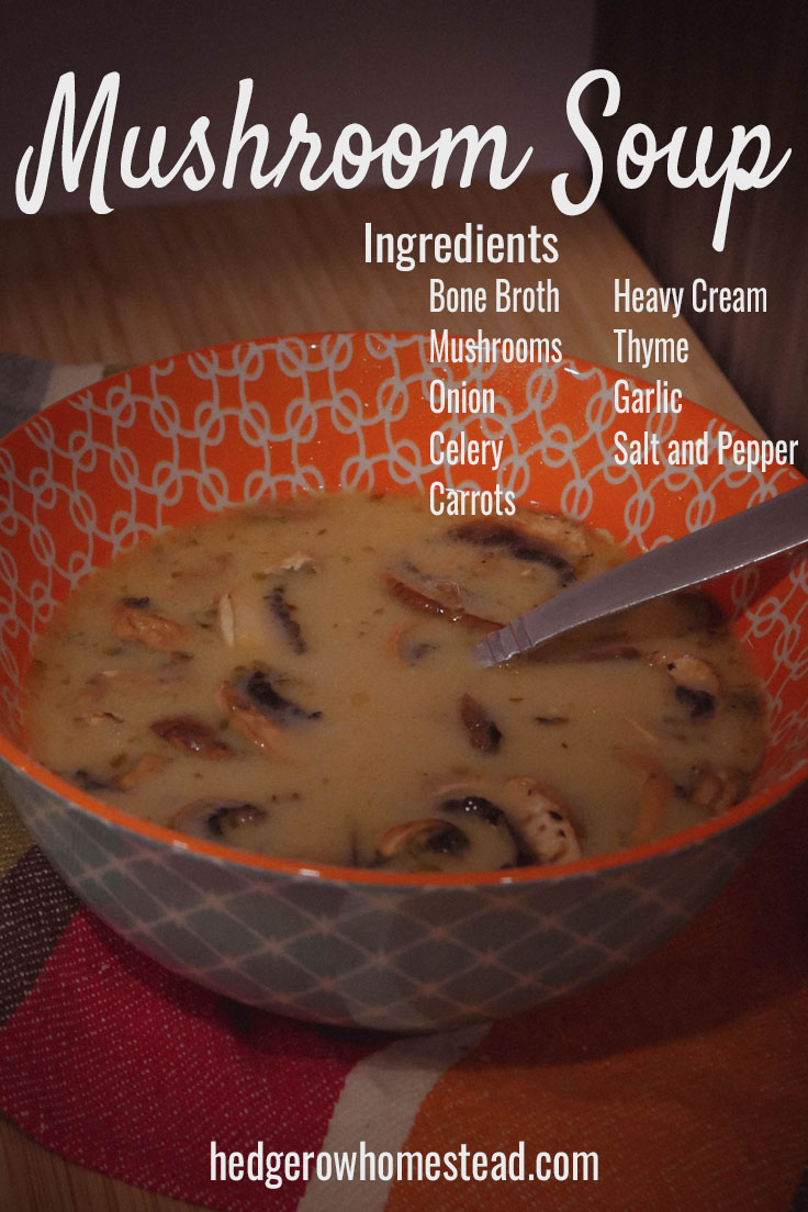 Mushroom Soup Recipe 