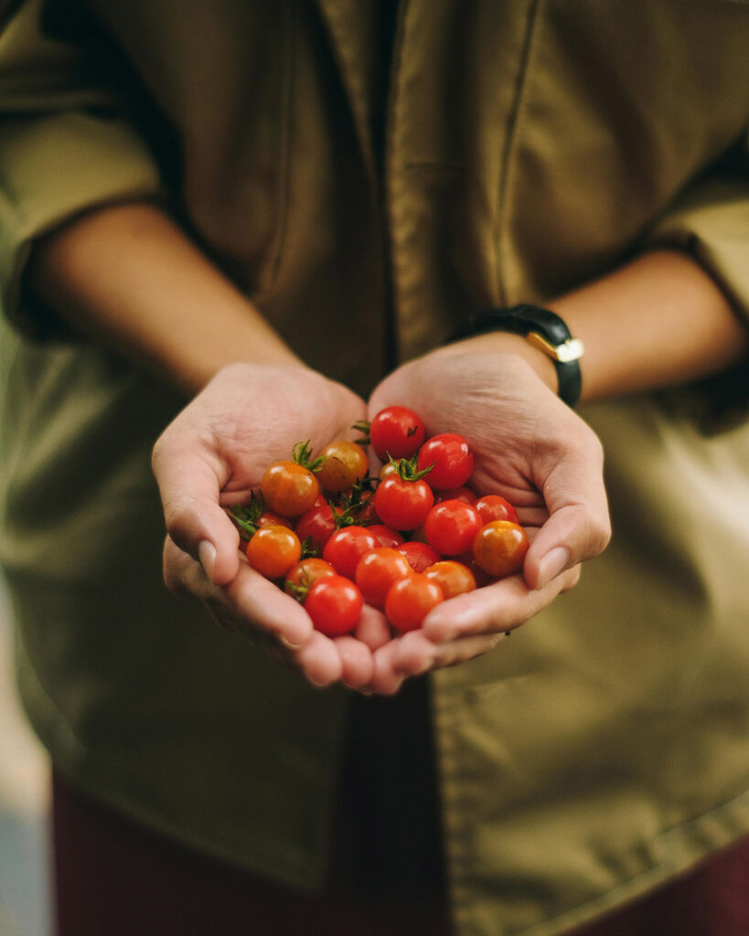 Woman holding small orange and red cherry tomatoes in her hands.