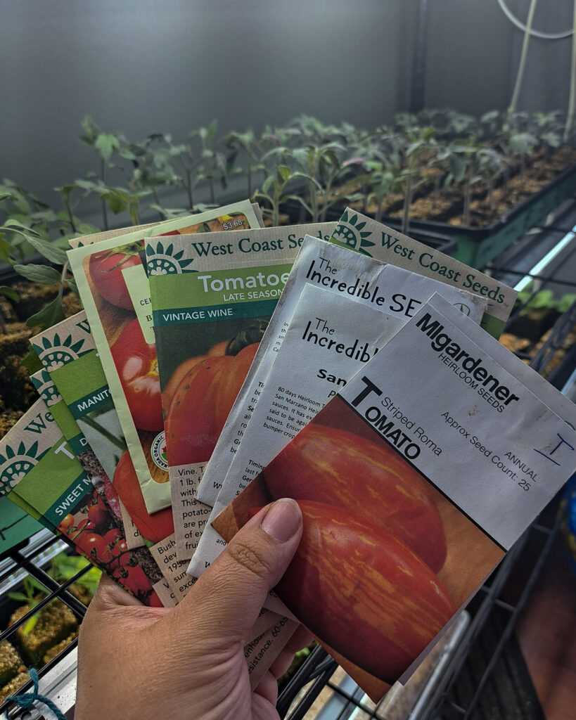 A variety of tomato seed packets